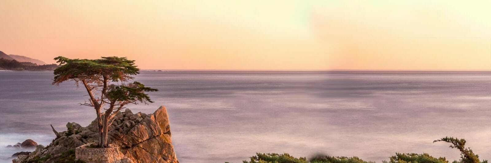 Cypress tree on rocky outcrop